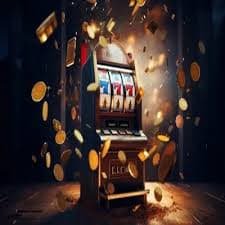 nnn55 bet